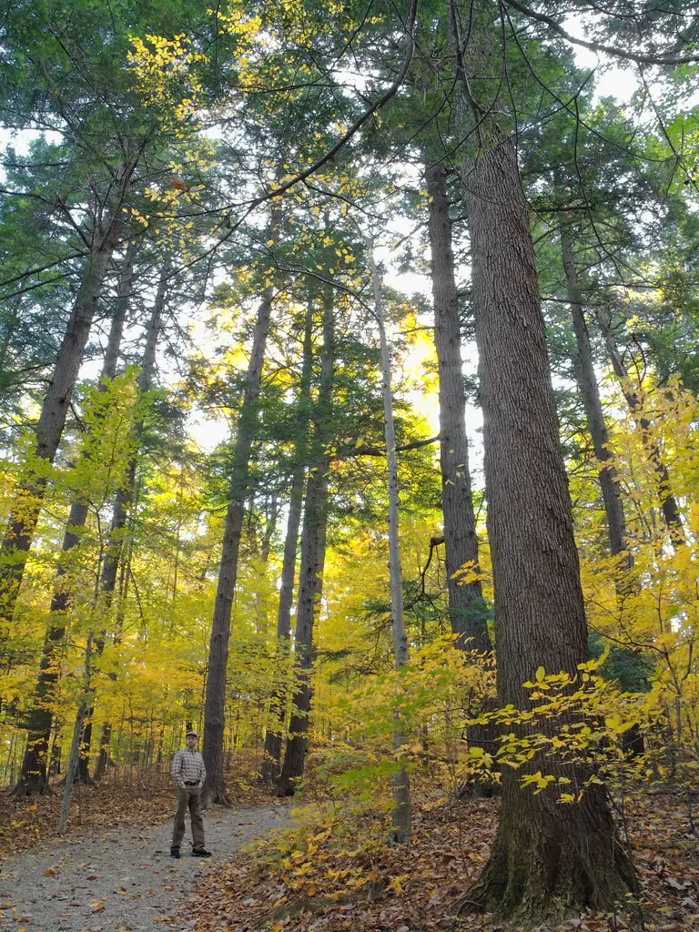 Woodland trail at Indian Point Park, Ohio, used as representative stock photography